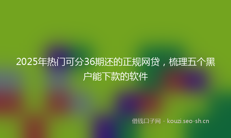 2025年热门可分36期还的正规网贷，梳理五个黑户能下款的软件