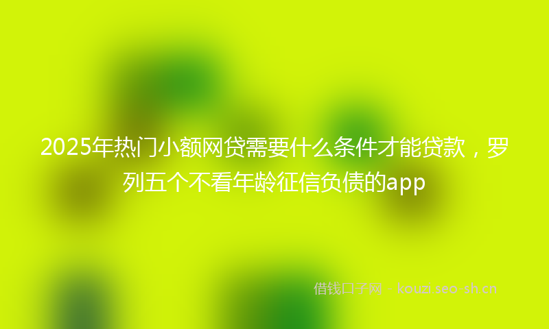 2025年热门小额网贷需要什么条件才能贷款，罗列五个不看年龄征信负债的app
