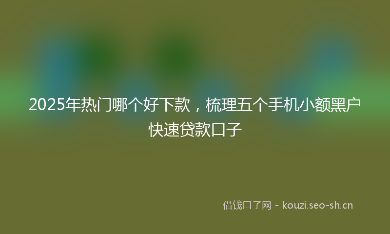 2025年热门哪个好下款，梳理五个手机小额黑户快速贷款口子