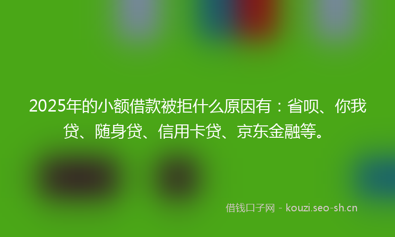 2025年的小额借款被拒什么原因有：省呗、你我贷、随身贷、信用卡贷、京东金融等。