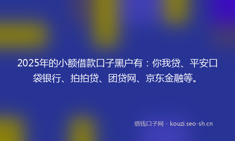 2025年的小额借款口子黑户有：你我贷、平安口袋银行、拍拍贷、团贷网、京东金融等。