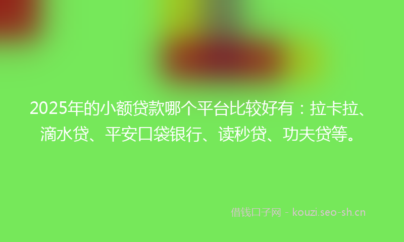 2025年的小额贷款哪个平台比较好有：拉卡拉、滴水贷、平安口袋银行、读秒贷、功夫贷等。