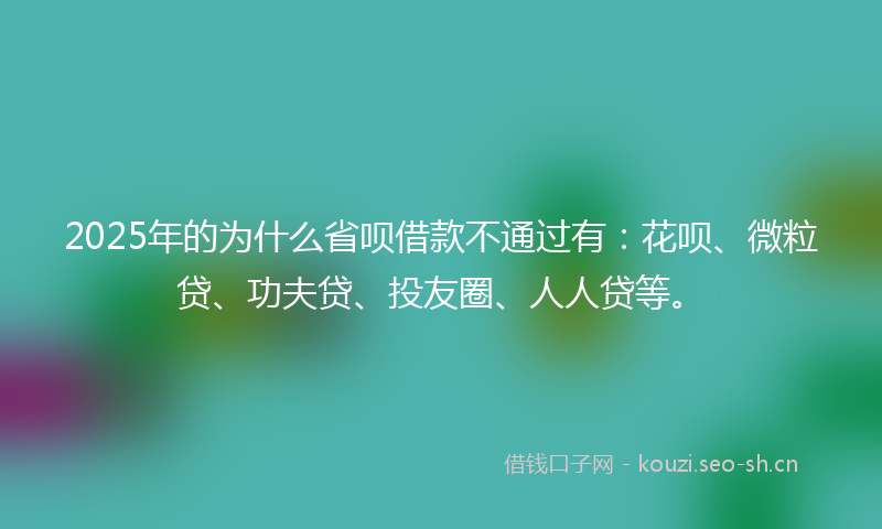 2025年的为什么省呗借款不通过有：花呗、微粒贷、功夫贷、投友圈、人人贷等。
