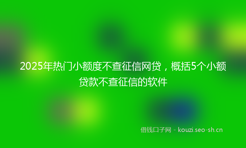 2025年热门小额度不查征信网贷，概括5个小额贷款不查征信的软件