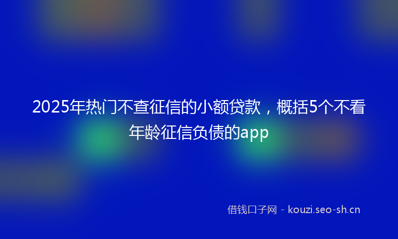 2025年热门不查征信的小额贷款，概括5个不看年龄征信负债的app