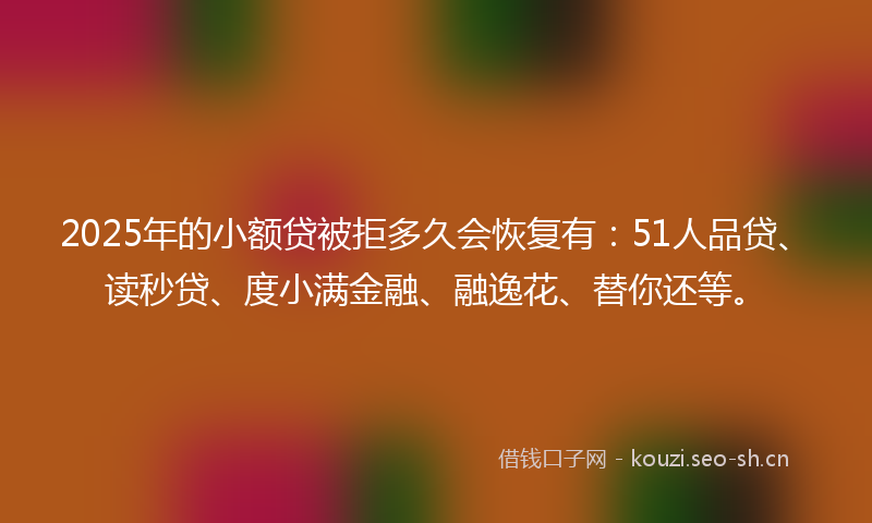 2025年的小额贷被拒多久会恢复有：51人品贷、读秒贷、度小满金融、融逸花、替你还等。
