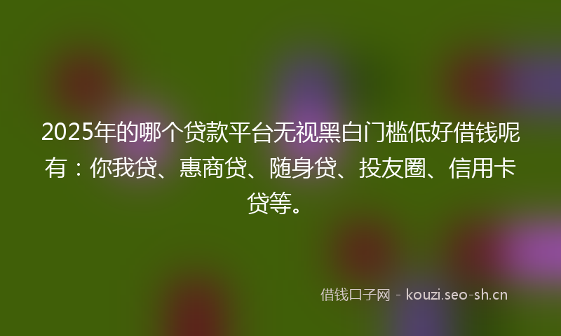 2025年的哪个贷款平台无视黑白门槛低好借钱呢有：你我贷、惠商贷、随身贷、投友圈、信用卡贷等。