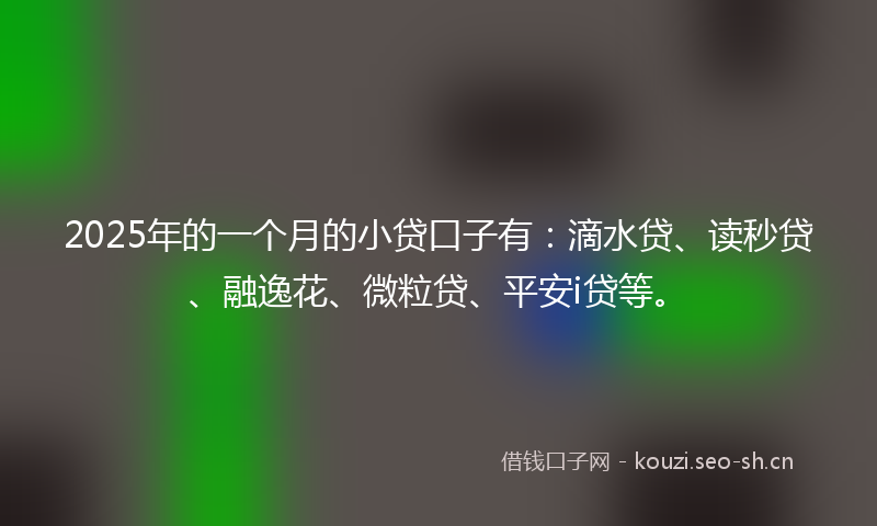 2025年的一个月的小贷口子有：滴水贷、读秒贷、融逸花、微粒贷、平安i贷等。