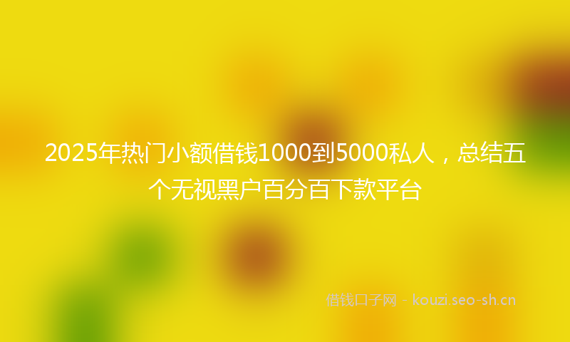 2025年热门小额借钱1000到5000私人，总结五个无视黑户百分百下款平台