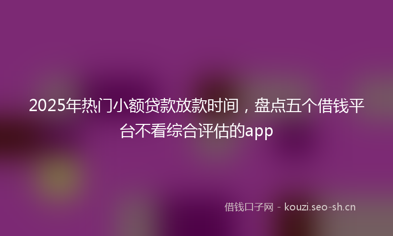 2025年热门小额贷款放款时间，盘点五个借钱平台不看综合评估的app