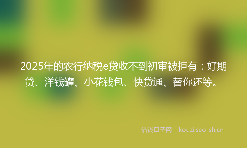 2025年的农行纳税e贷收不到初审被拒有：好期贷、洋钱罐、小花钱包、快贷通、替你还等。