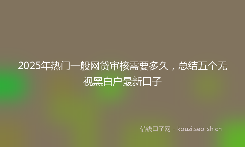 2025年热门一般网贷审核需要多久，总结五个无视黑白户最新口子