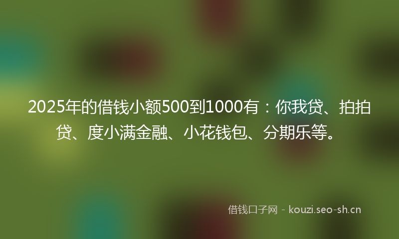 2025年的借钱小额500到1000有：你我贷、拍拍贷、度小满金融、小花钱包、分期乐等。
