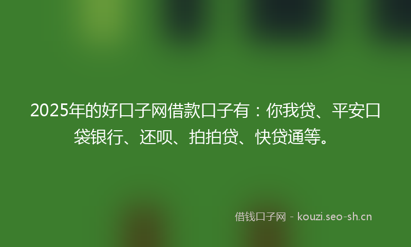 2025年的好口子网借款口子有：你我贷、平安口袋银行、还呗、拍拍贷、快贷通等。