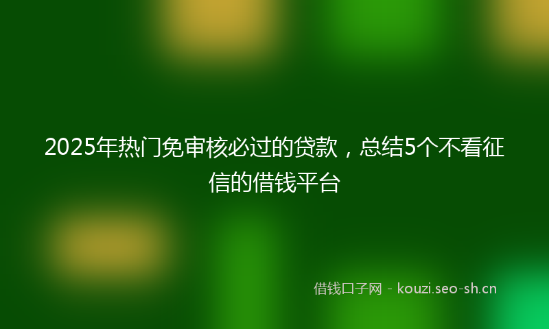 2025年热门免审核必过的贷款，总结5个不看征信的借钱平台