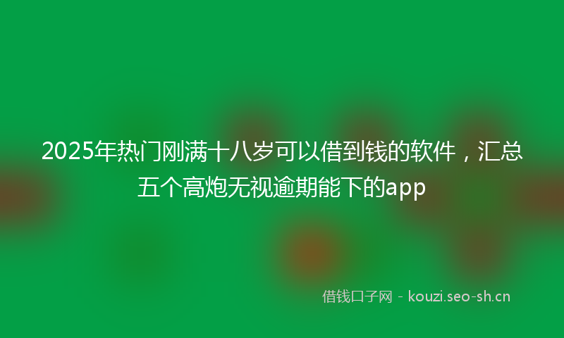 2025年热门刚满十八岁可以借到钱的软件，汇总五个高炮无视逾期能下的app