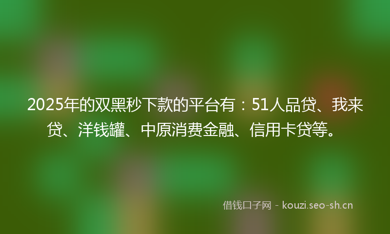 2025年的双黑秒下款的平台有：51人品贷、我来贷、洋钱罐、中原消费金融、信用卡贷等。