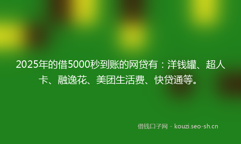 2025年的借5000秒到账的网贷有：洋钱罐、超人卡、融逸花、美团生活费、快贷通等。