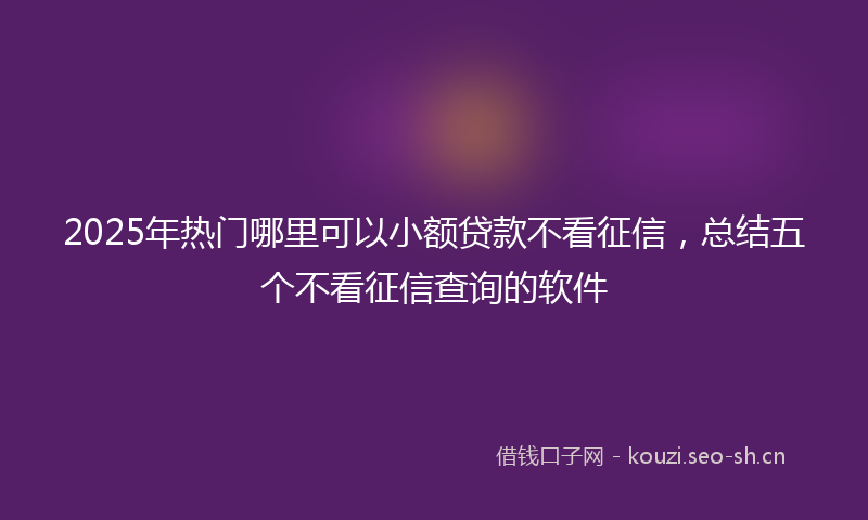 2025年热门哪里可以小额贷款不看征信,总结五个不看征信查询的软件