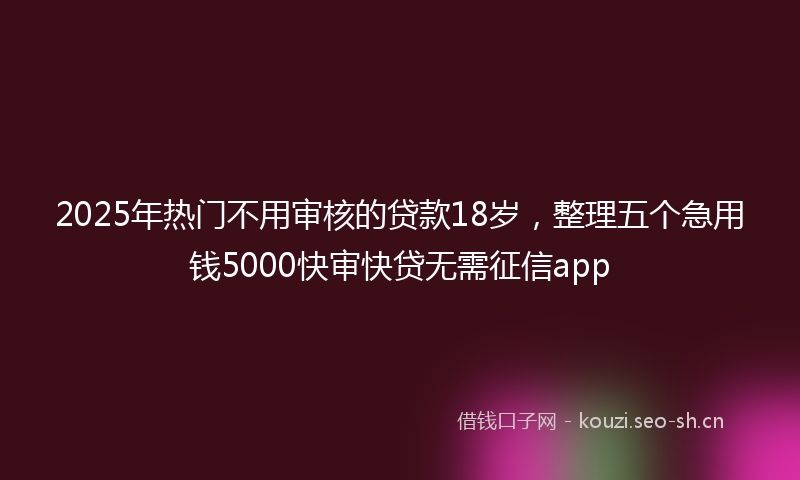 2025年热门不用审核的贷款18岁，整理五个急用钱5000快审快贷无需征信app