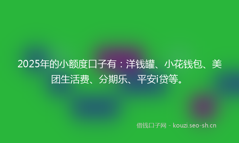 2025年的小额度口子有：洋钱罐、小花钱包、美团生活费、分期乐、平安i贷等。