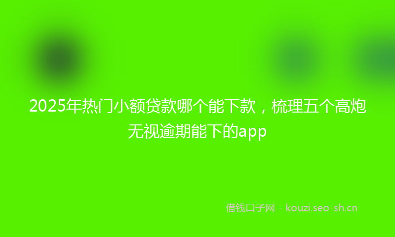 2025年热门小额贷款哪个能下款，梳理五个高炮无视逾期能下的app