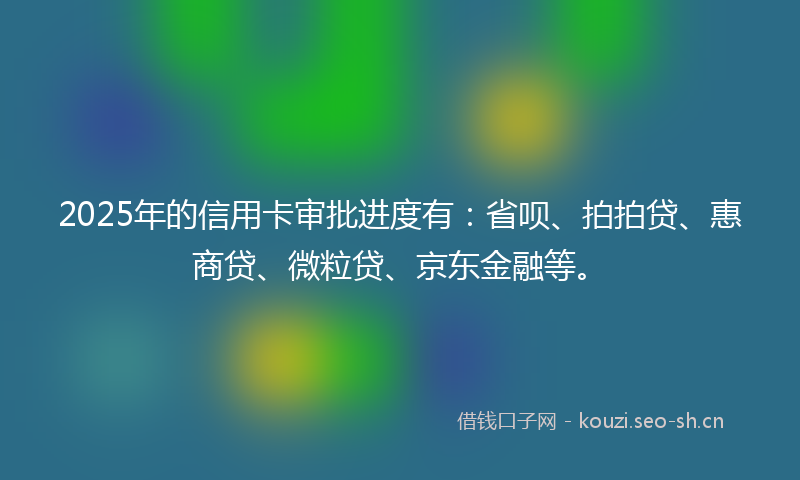 2025年的信用卡审批进度有：省呗、拍拍贷、惠商贷、微粒贷、京东金融等。
