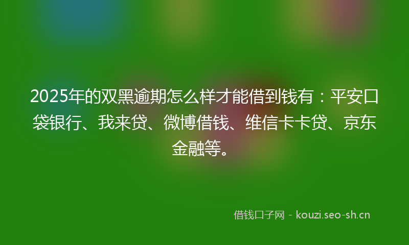 2025年的双黑逾期怎么样才能借到钱有：平安口袋银行、我来贷、微博借钱、维信卡卡贷、京东金融等。
