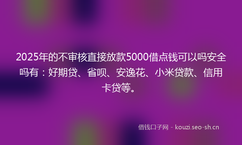 2025年的不审核直接放款5000借点钱可以吗安全吗有：好期贷、省呗、安逸花、小米贷款、信用卡贷等。