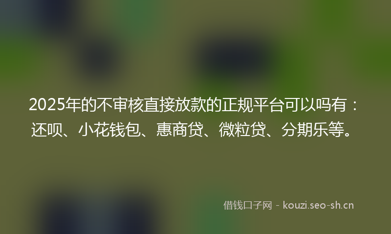 2025年的不审核直接放款的正规平台可以吗有：还呗、小花钱包、惠商贷、微粒贷、分期乐等。
