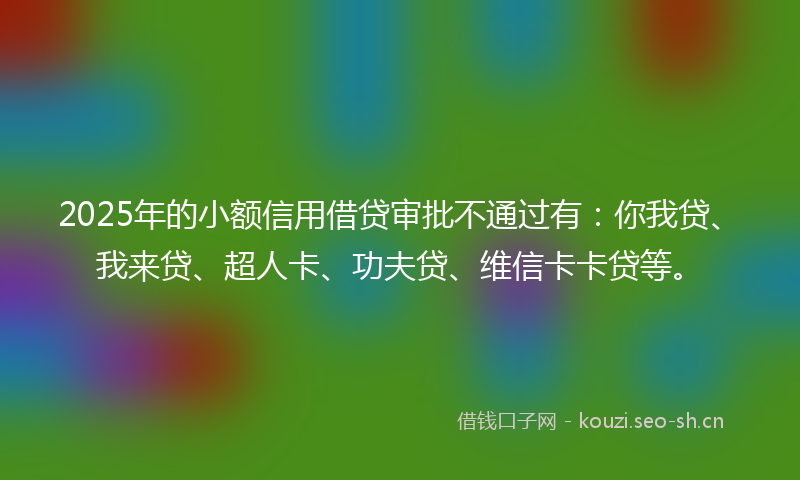 2025年的小额信用借贷审批不通过有：你我贷、我来贷、超人卡、功夫贷、维信卡卡贷等。