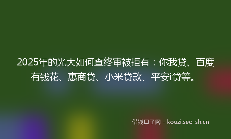 2025年的光大如何查终审被拒有：你我贷、百度有钱花、惠商贷、小米贷款、平安i贷等。