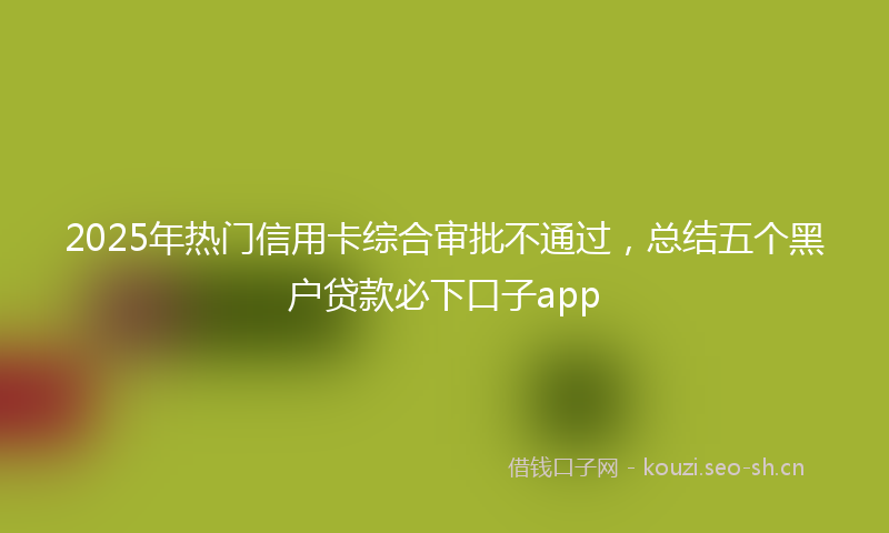 2025年热门信用卡综合审批不通过，总结五个黑户贷款必下口子app
