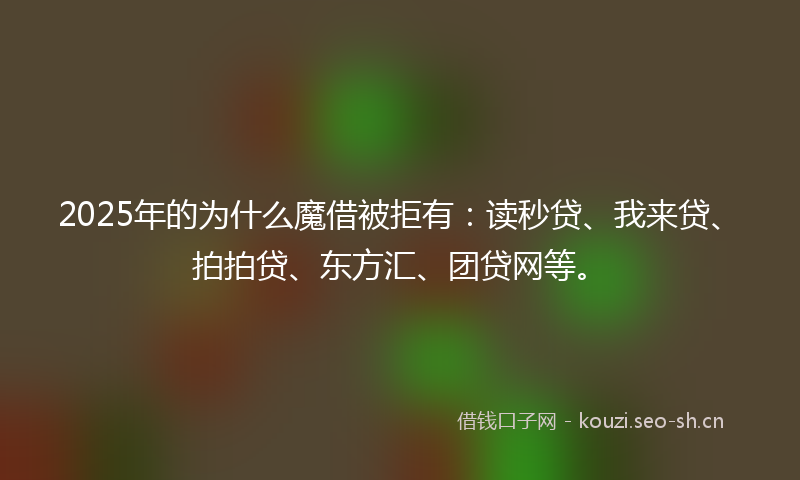 2025年的为什么魔借被拒有：读秒贷、我来贷、拍拍贷、东方汇、团贷网等。