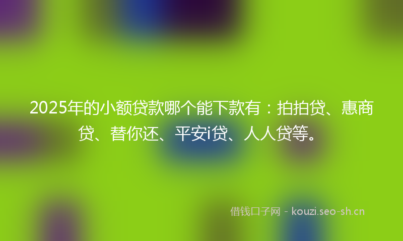 2025年的小额贷款哪个能下款有：拍拍贷、惠商贷、替你还、平安i贷、人人贷等。