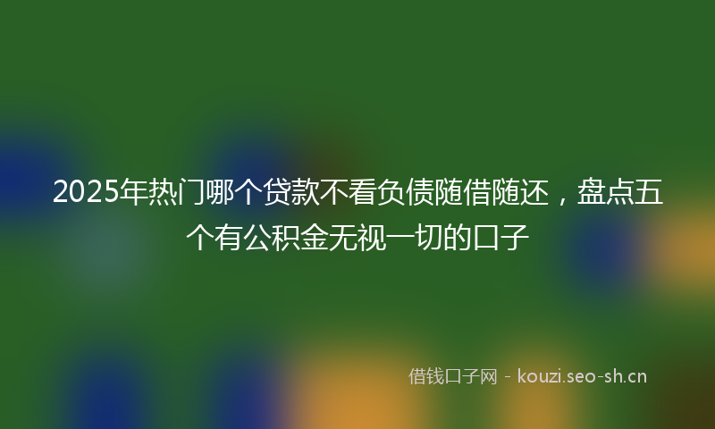 2025年热门哪个贷款不看负债随借随还，盘点五个有公积金无视一切的口子