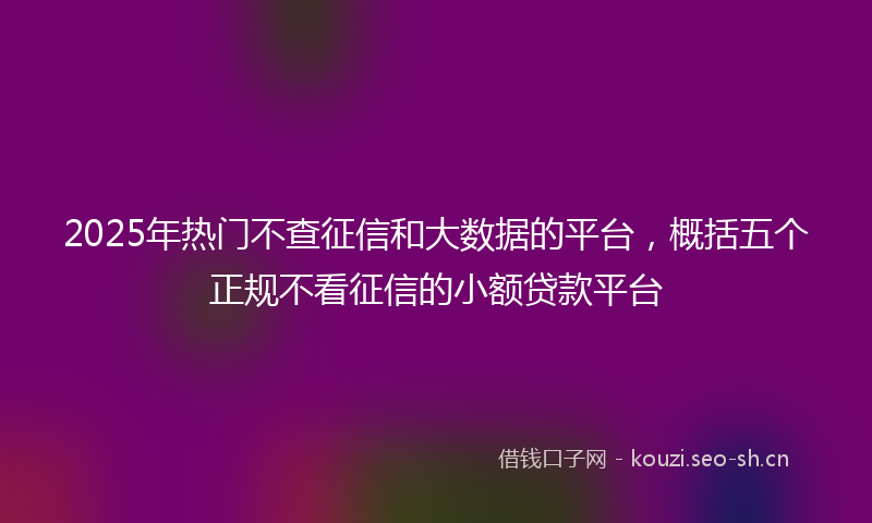 2025年热门不查征信和大数据的平台，概括五个正规不看征信的小额贷款平台