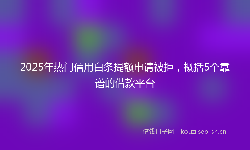2025年热门信用白条提额申请被拒，概括5个靠谱的借款平台