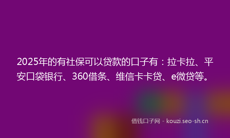 2025年的有社保可以贷款的口子有：拉卡拉、平安口袋银行、360借条、维信卡卡贷、e微贷等。