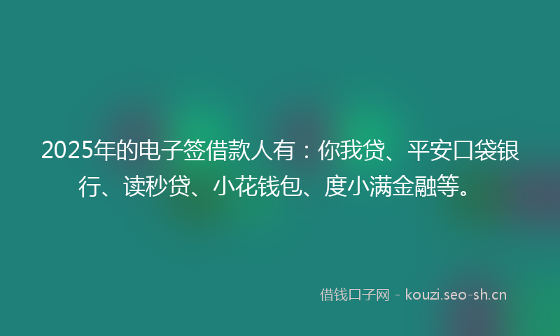 2025年的电子签借款人有：你我贷、平安口袋银行、读秒贷、小花钱包、度小满金融等。