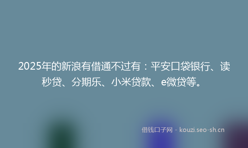 2025年的新浪有借通不过有：平安口袋银行、读秒贷、分期乐、小米贷款、e微贷等。