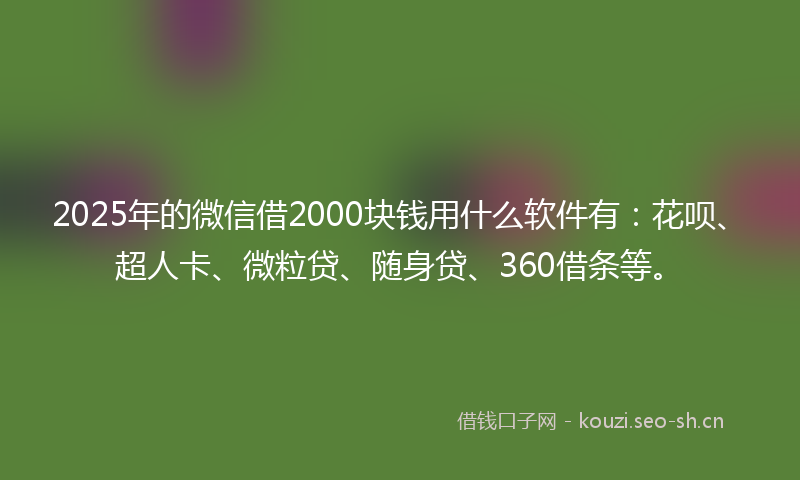 2025年的微信借2000块钱用什么软件有：花呗、超人卡、微粒贷、随身贷、360借条等。
