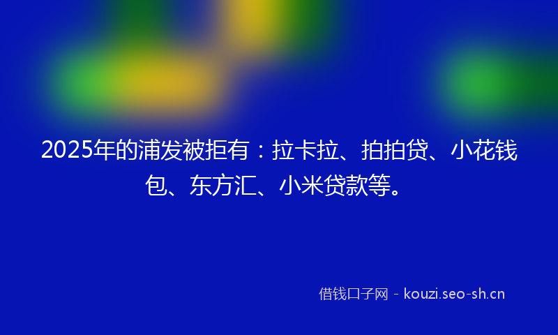 2025年的浦发被拒有：拉卡拉、拍拍贷、小花钱包、东方汇、小米贷款等。
