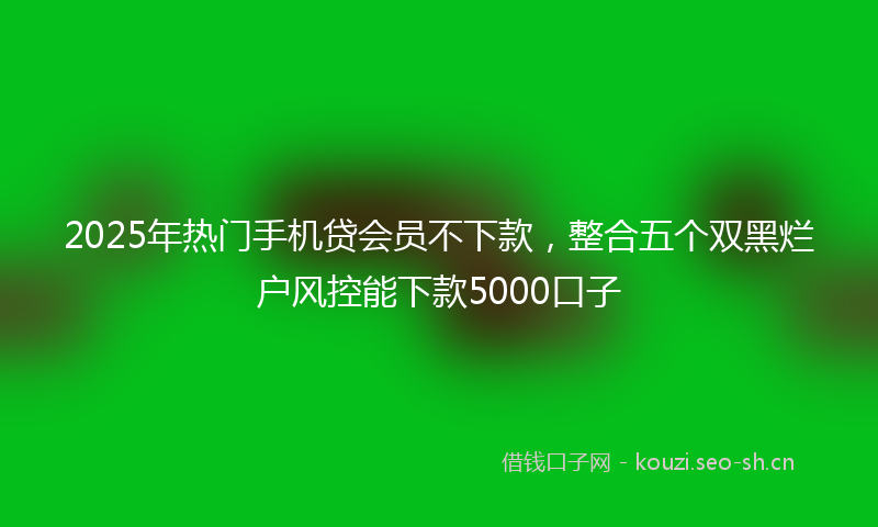 2025年热门手机贷会员不下款，整合五个双黑烂户风控能下款5000口子