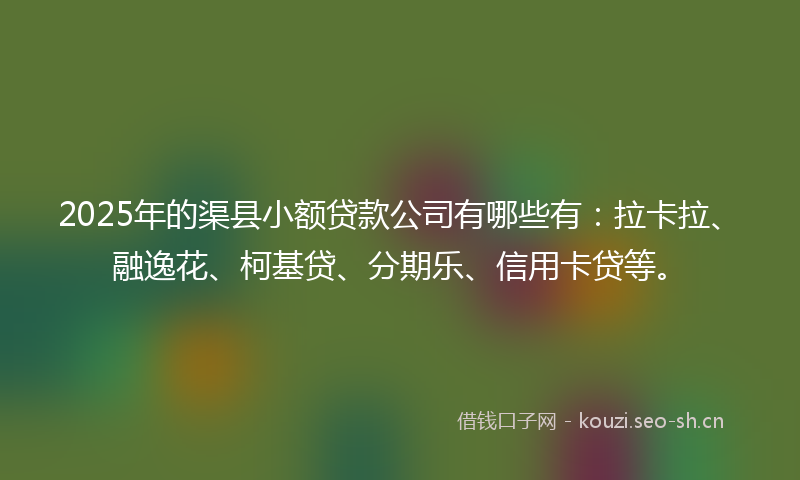 2025年的渠县小额贷款公司有哪些有：拉卡拉、融逸花、柯基贷、分期乐、信用卡贷等。