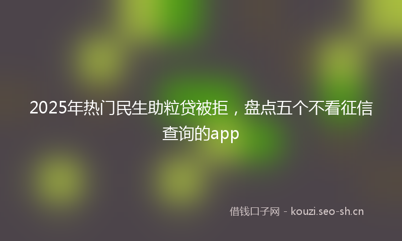 2025年热门民生助粒贷被拒，盘点五个不看征信查询的app