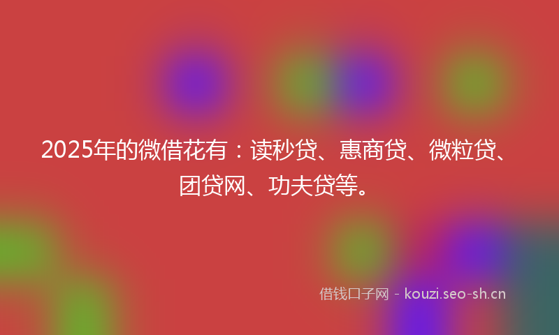 2025年的微借花有:读秒贷、惠商贷、微粒贷、团贷网、功夫贷等。