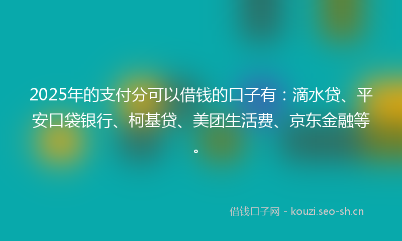 2025年的支付分可以借钱的口子有：滴水贷、平安口袋银行、柯基贷、美团生活费、京东金融等。