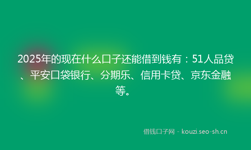 2025年的现在什么口子还能借到钱有:51人品贷、平安口袋银行、分期乐、信用卡贷、京东金融等。