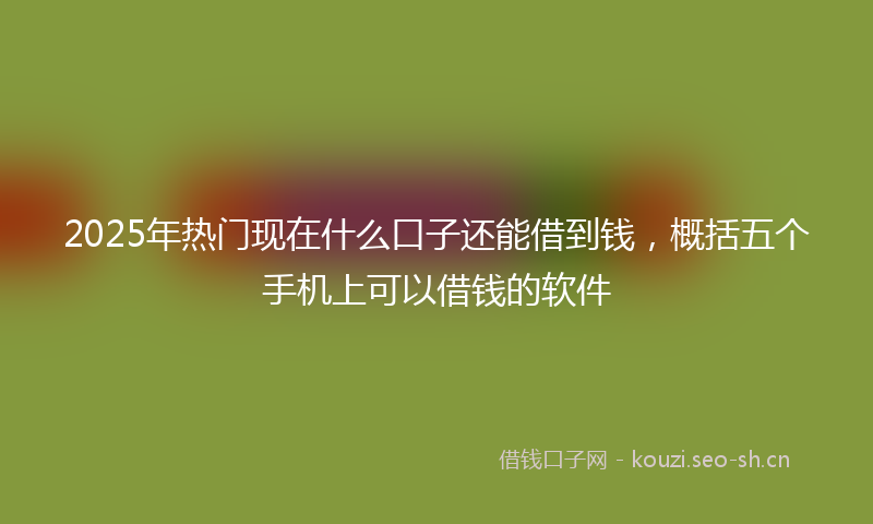 2025年热门现在什么口子还能借到钱，概括五个手机上可以借钱的软件